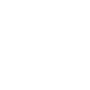 Metzlr House